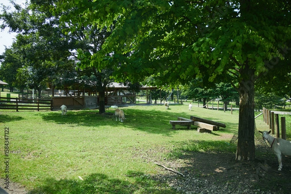 Obraz 動物園　伊香保