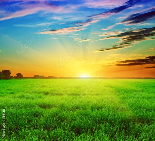 Obraz summer landscape on a background beautiful sunset