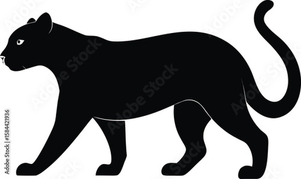 Obraz Silhouette of a Jaguarundi Walking with a Long Tail