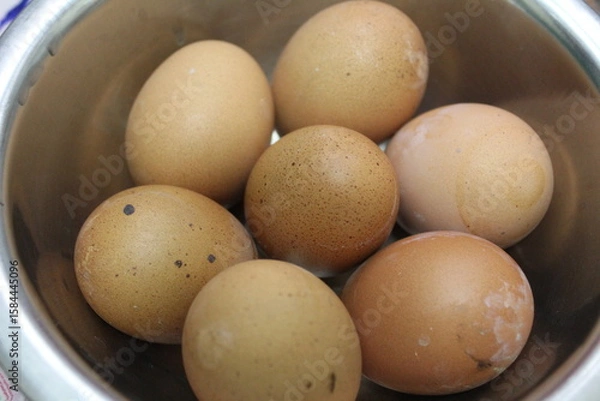 Obraz chicken eggs in a bowl