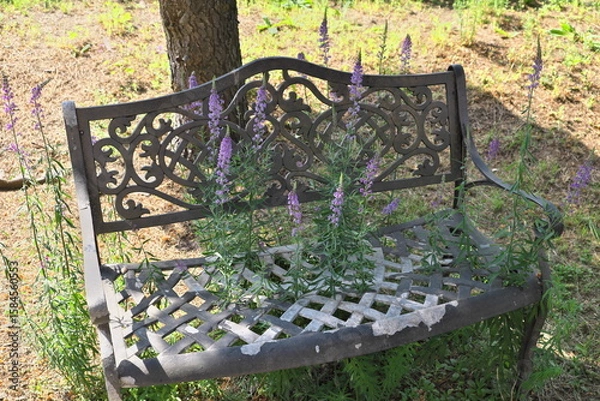 Obraz ベンチの主役