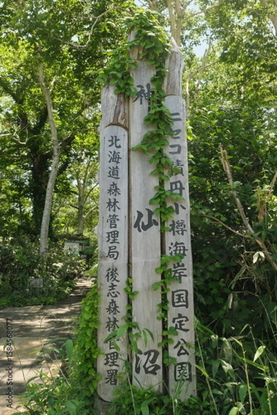 Obraz 神仙沼の看板