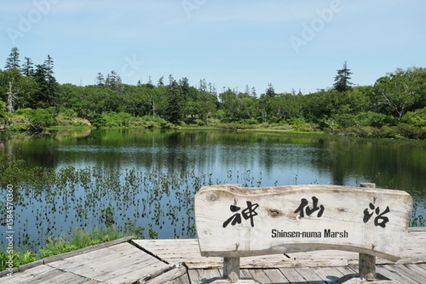 Obraz 初夏の神仙沼