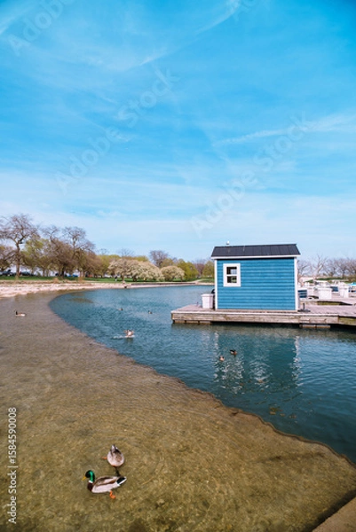 Fototapeta Serene scenery showcases a small wooden hut by the waterside, surrounded by nature, with ducks peacefully paddling along and vibrant blue skies enhancing the calm and natural ambiance.