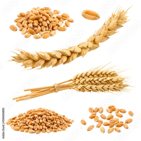 Obraz Assortment of Wheat Grains and Stalks Showcasing Harvested Food and Agriculture