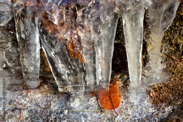 Obraz Amber leaf in an ice formation in Bolton Notch, Connecticut.