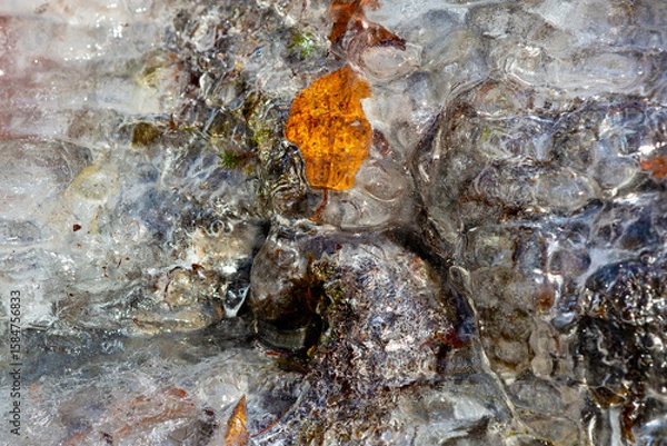 Obraz Amber leaf in an ice formation in Bolton Notch, Connecticut.