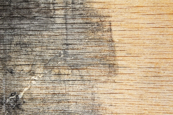 Fototapeta wood texture