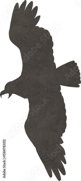Fototapeta 鷹、鷲、鳶のような鳥のシルエットのイラスト素材　