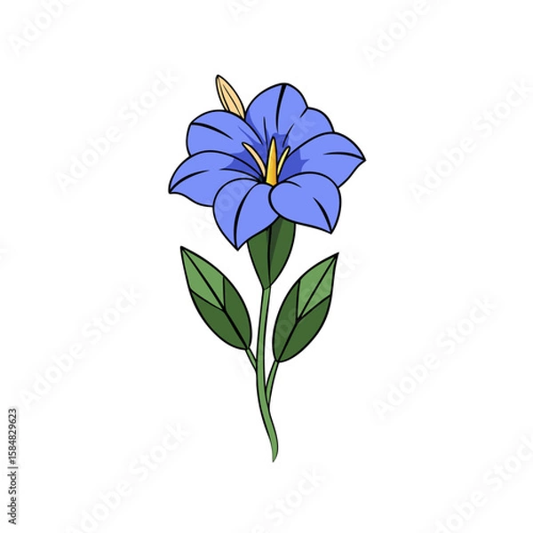 Obraz Creative Gentian Flower Vector Artwork