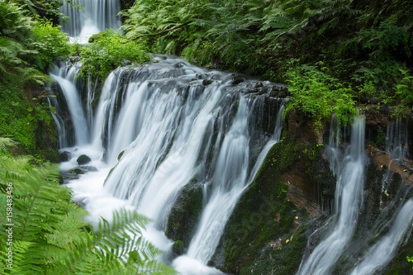 Obraz 軽井沢 白糸の滝_13