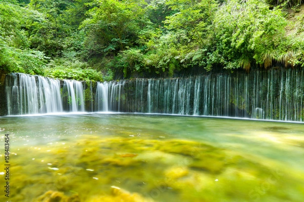 Obraz 軽井沢 白糸の滝_04