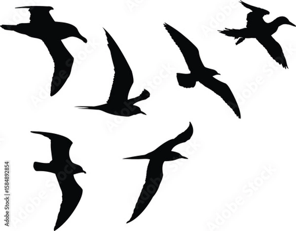 Fototapeta Group of birds flying together vector silhouette design. Birds flock silhouette vector.