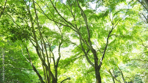 Obraz OLYMPUS DIGITAL CAMERA