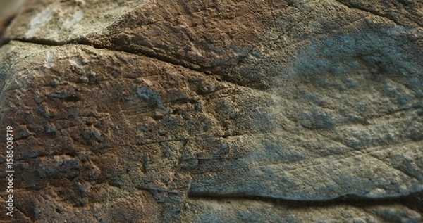 Fototapeta Close-up of mixed surface textures on cracked stone with earthy brown tones