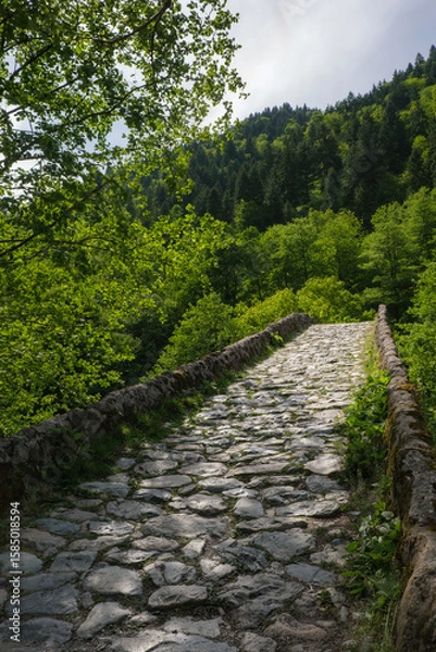 Fototapeta Stone bridge through forest. A serene stone bridge pathway winding through lush greenery. surrounded by trees. Inviting wanderers to explore the beauty of nature.