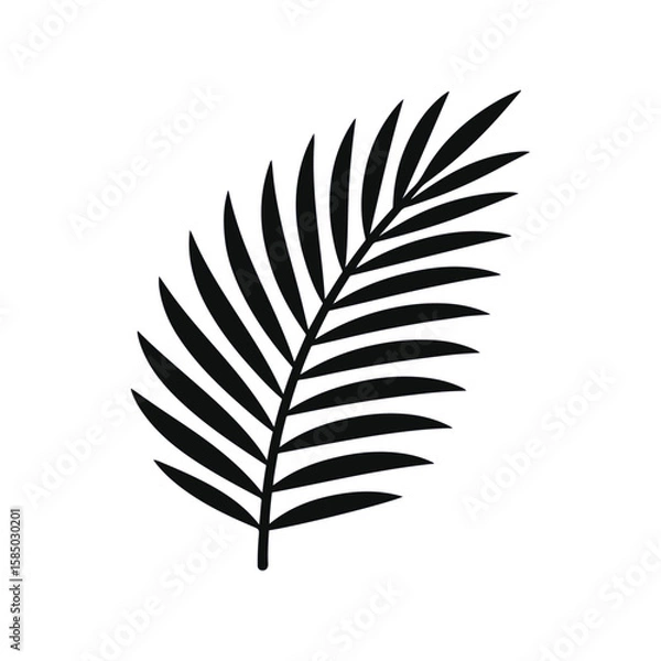 Obraz Coconut leaf vector illustration 