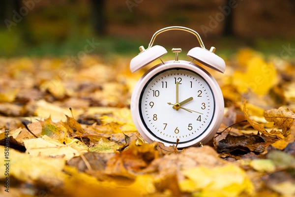 Fototapeta Winter time changeover, end of daylight saving time in autumn, alarm clock fall back switch, forest with colorful foliage