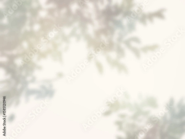 Obraz 木の影が壁に映るシンプルな背景