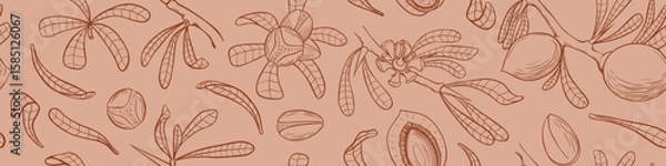 Obraz Seamless pattern with argan tree parts. Leaves, nuts and branches. Cosmetic floral background. Vector illustration.