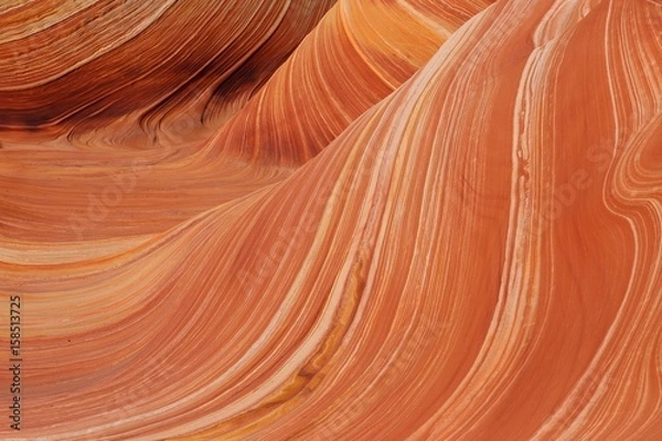 Fototapeta The Wave, Coyote Buttes in the Vermilion Cliffs