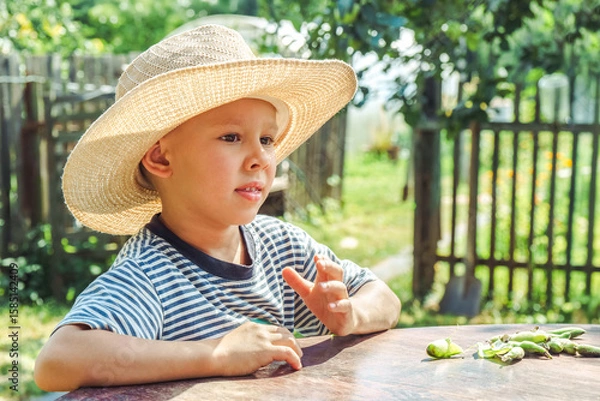 Fototapeta Small boy in a straw hat focuses on shelling beans while sitting at a table outside, surrounded by greenery