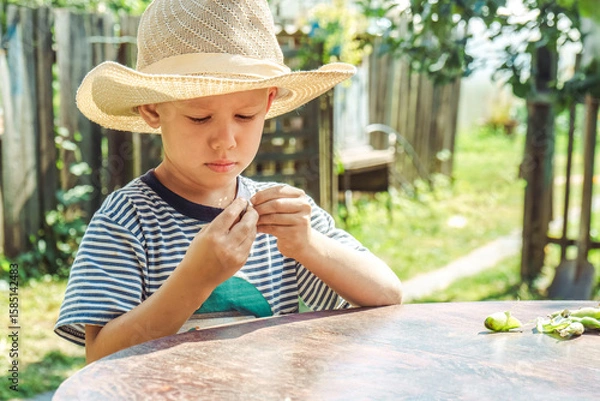 Fototapeta Small boy in a straw hat focuses on shelling beans while sitting at a table outside, surrounded by greenery