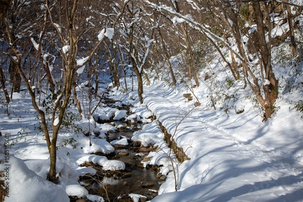 Obraz 겨울 내장산