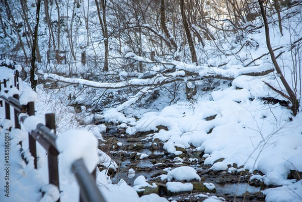 Obraz 겨울 내장산