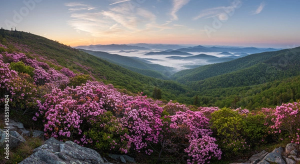 Fototapeta Untouched Natural Beauty of Blooming Mountain Laurel in the Blue Ridge, Rugged Slope, Spring Mist, and Expansive Drone Perspective