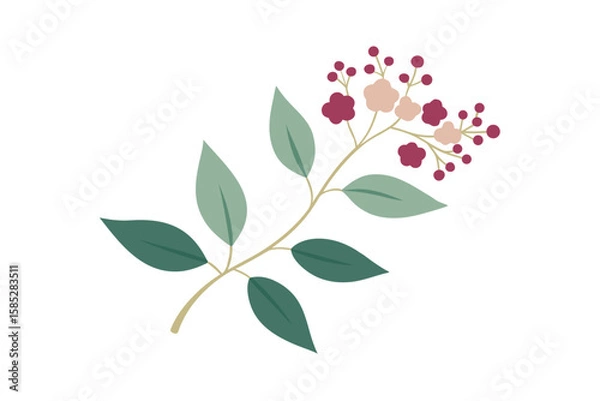 Obraz Boho Seamless Vector With Elderflowers And Berries