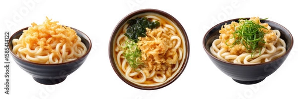 Fototapeta Set of Japanese Udon Noodle Dishes in Bowls Isolated on Transparent Background