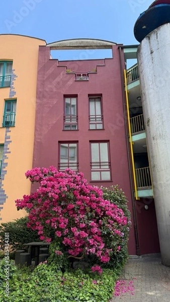 Fototapeta Bremen, Spain - May 04, 2025: The Bremen Town Musicians. Colorful building facade with vibrant bougainvillea flowers in urban setting showcasing modern architecture