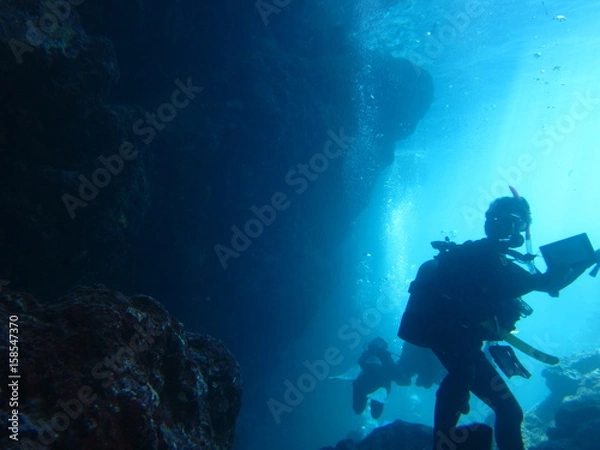 Obraz スキューバダイビング