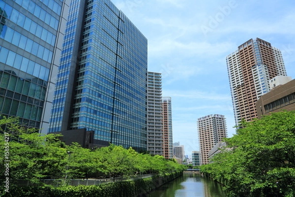 Obraz 新緑の目黒川沿い桜並木と高層ビル群