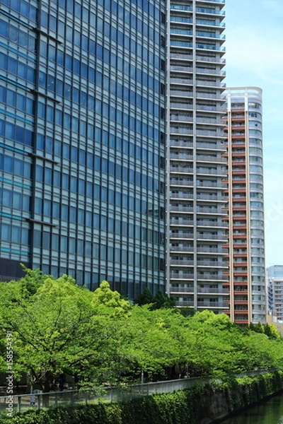 Fototapeta 目黒川沿いの高層ビル群