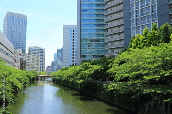 Fototapeta 目黒川と高層ビル群の風景
