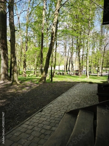 Obraz path in the park