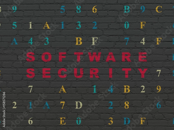 Fototapeta Safety concept: Software Security on wall background