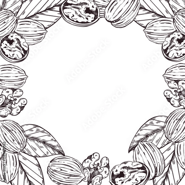 Fototapeta Square walnut frame, walnut tree leaves, nut without shell. All objects are hand-drawn in vector. The illustration is suitable for printing on fabric, paper, product packaging. Vector illustration