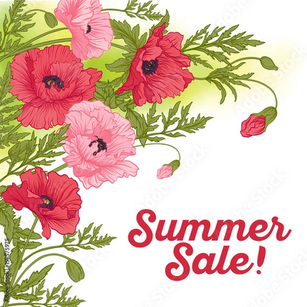 Fototapeta Summer sale card with red and pink poppy on green watercolor background. Stock line vector illustration.