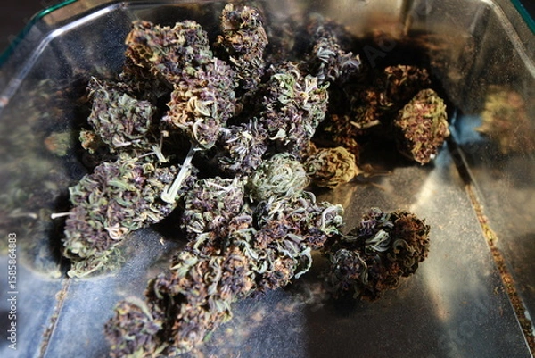 Fototapeta dry bud medical marijuana.cannabis close up