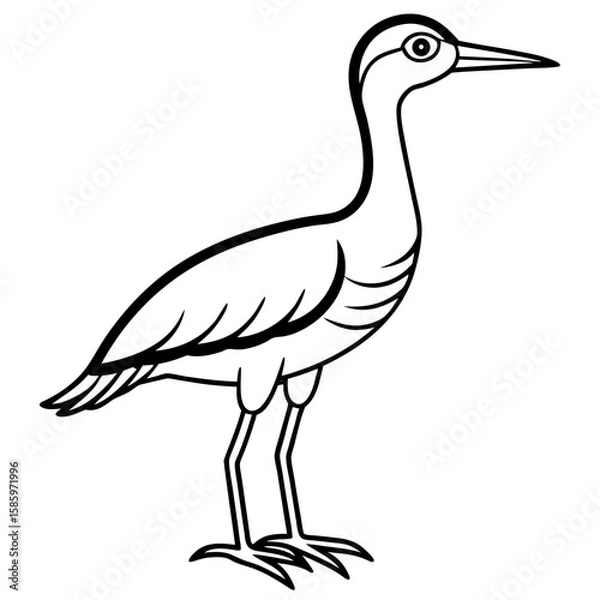 Obraz Simple Whimbrel Line Drawing Vector