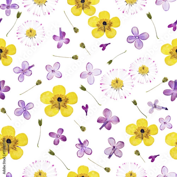 Fototapeta Pressed and dried flowers pattern