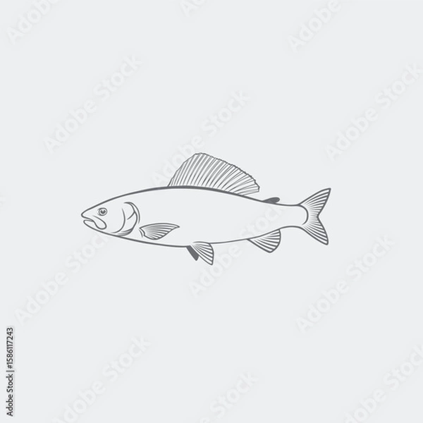 Obraz image grayling fish 