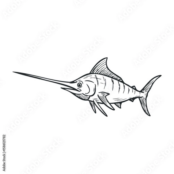 Obraz Swordfish sketch with long bill and fins detailed black line drawing. Hand draw vector illustration