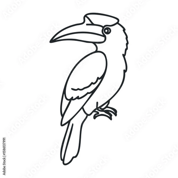Fototapeta Black and white line drawing of a hornbill with large beak and distinctive features. Outline vector illustration