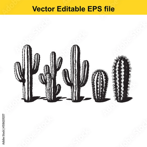 Fototapeta A hand-drawn vector illustration featuring a variety of cactus species, some with delicate flowers, presented as an outline.
