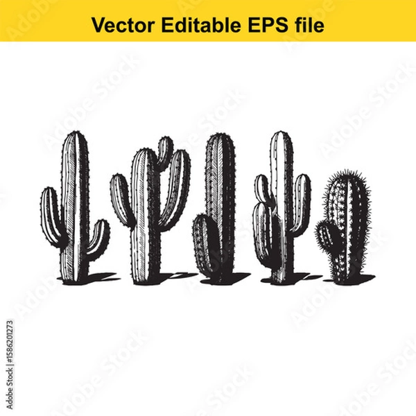 Fototapeta A hand-drawn vector illustration featuring a variety of cactus species, some with delicate flowers, presented as an outline.