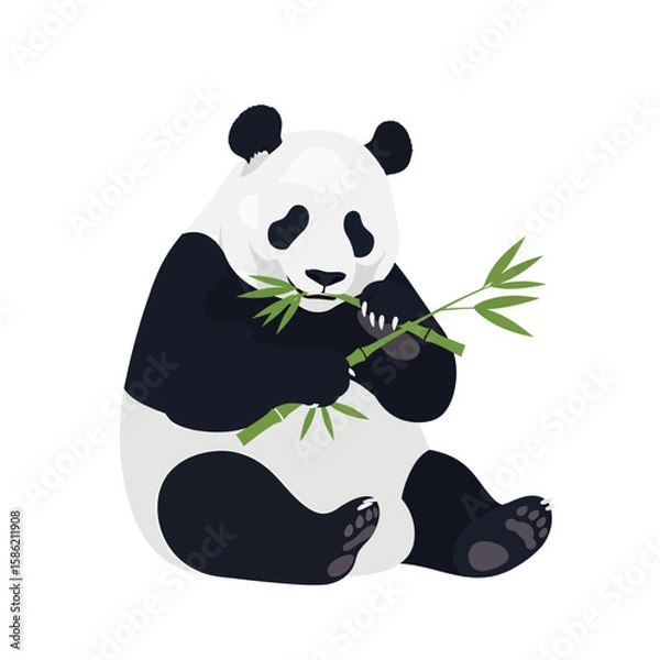 Obraz A seated giant panda enjoying a meal of fresh green bamboo stalks.